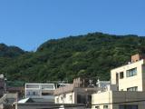 岡本の山